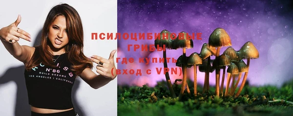 стаф Белокуриха