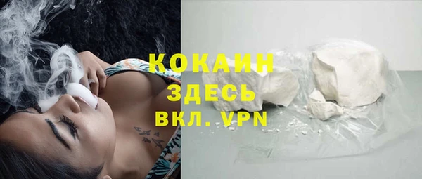 стаф Белокуриха