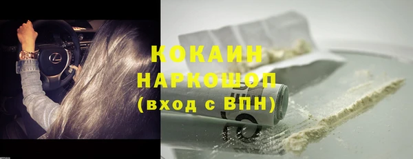 стаф Белокуриха