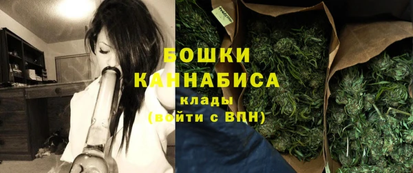 стаф Белокуриха