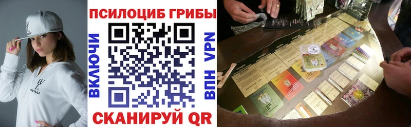 mega ссылки  Краснокаменск  Псилоцибиновые грибы Psilocybine cubensis 